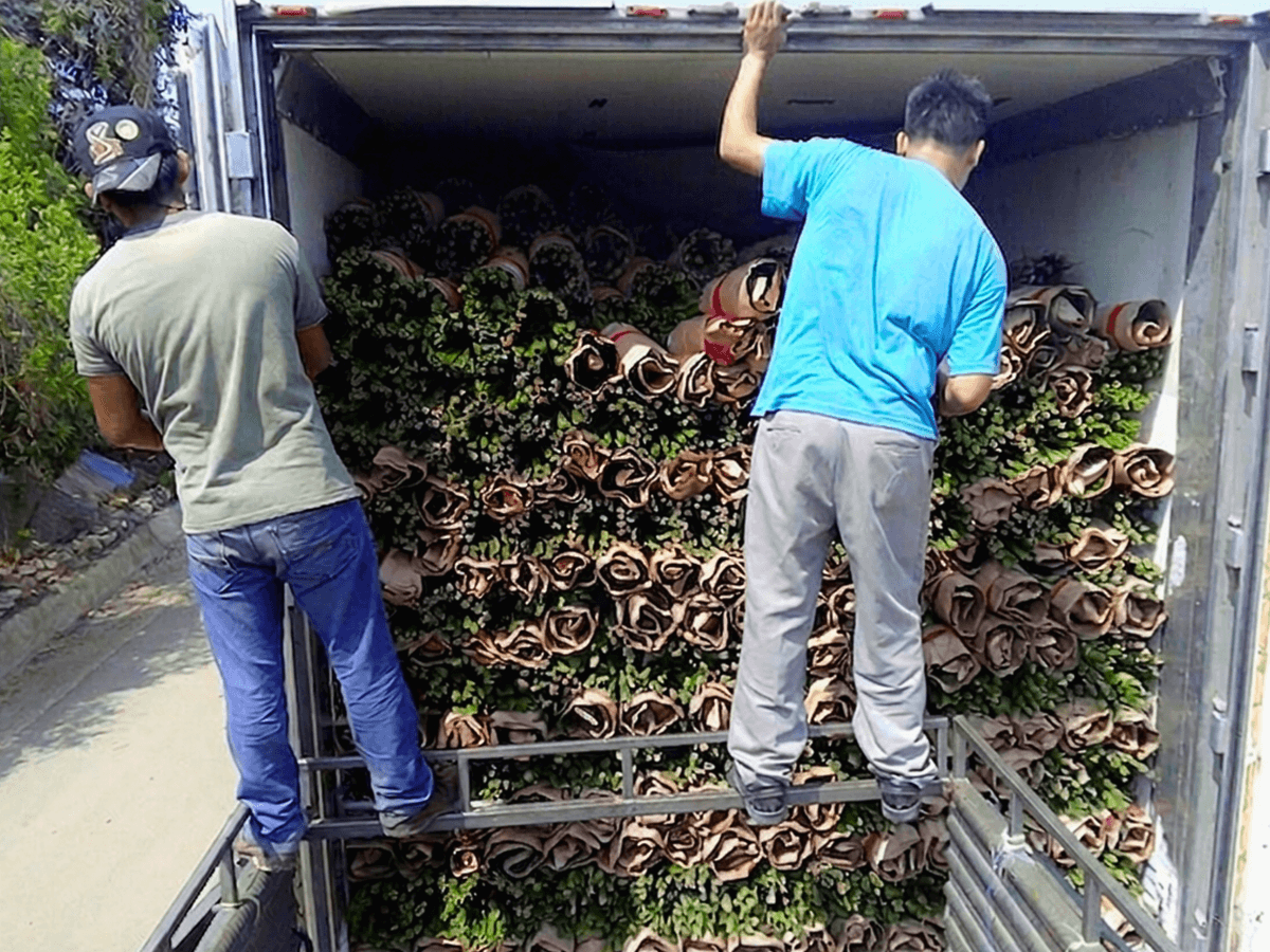 Carga del camión para entrega